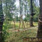 Fotka nr 1 z 5