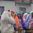 zdjęcie nr 461