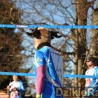 zdjęcie nr 136