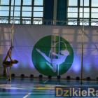 zdjęcie nr 40