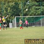 zdjęcie nr 88