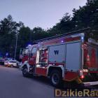 Fotka nr 2 z 4