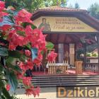 zdjęcie nr 97