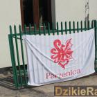 zdjęcie nr 44