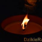 zdjęcie nr 38