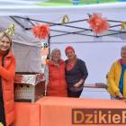 zdjęcie nr 194