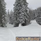 Fot. Ryszard Horing