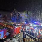 Fotka nr 5 z 16