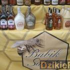 zdjęcie nr 32