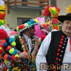 zdjęcie nr 457