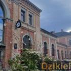 Fot. DzikieRadio