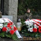 zdjęcie nr 100