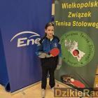 Fotka nr 4 z 11