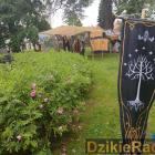 zdjęcie nr 52