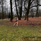 zdjęcie nr 12