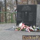 zdjęcie nr 12