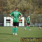 zdjęcie nr 82