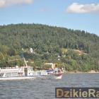 zdjęcie nr 273