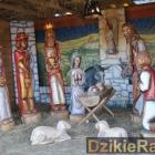 Fot. Dzikieradio