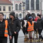 zdjęcie nr 135