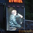zdjęcie nr 88