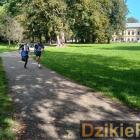 zdjęcie nr 76