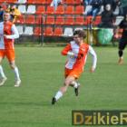 zdjęcie nr 185