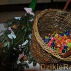 zdjęcie nr 38