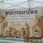 zdjęcie nr 53