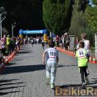 zdjęcie nr 45