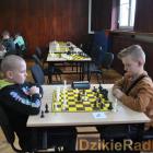zdjęcie nr 33