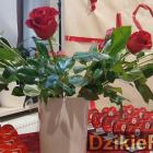 zdjęcie nr 219