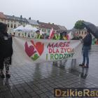 zdjęcie nr 14