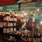 zdjęcie nr 94