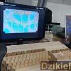 zdjęcie nr 10