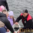 zdjęcie nr 11