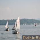 zdjęcie nr 26