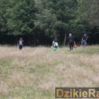 zdjęcie nr 83