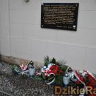 zdjęcie nr 56