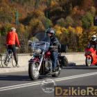 zdjęcie nr 375