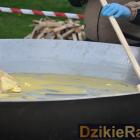zdjęcie nr 173