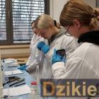 zdjęcie nr 7