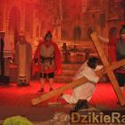 zdjęcie nr 22