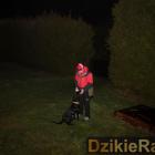 zdjęcie nr 14