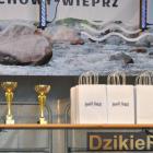 zdjęcie nr 32