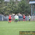 zdjęcie nr 24