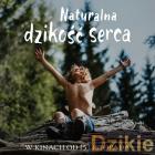 Fotka nr 5 z 8