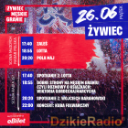 zdjęcie nr 8