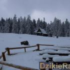zdjęcie nr 110