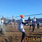 zdjęcie nr 249